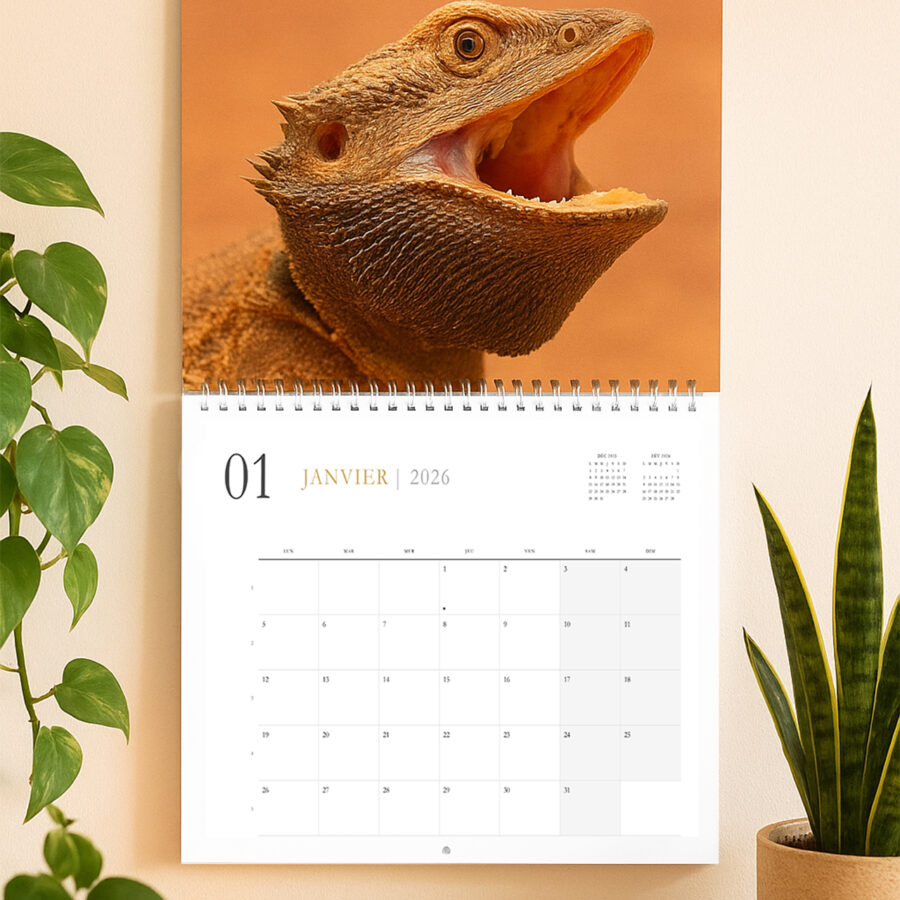 Calendrier Australie 2026 ST