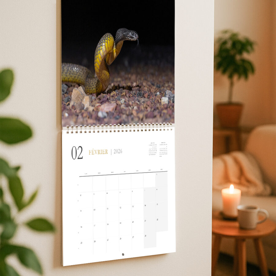 Calendrier Australie 2026 NO ST